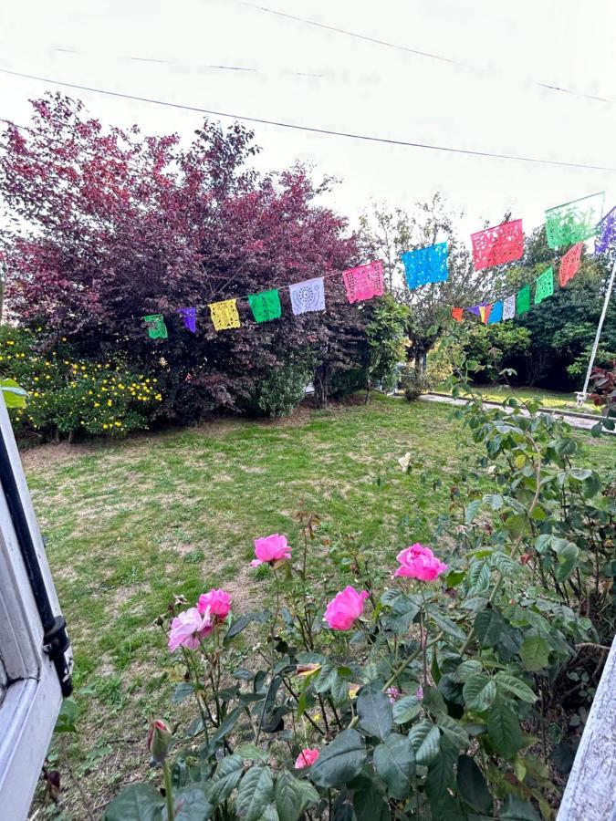 Purple Fox Hotel Ancud Exterior foto