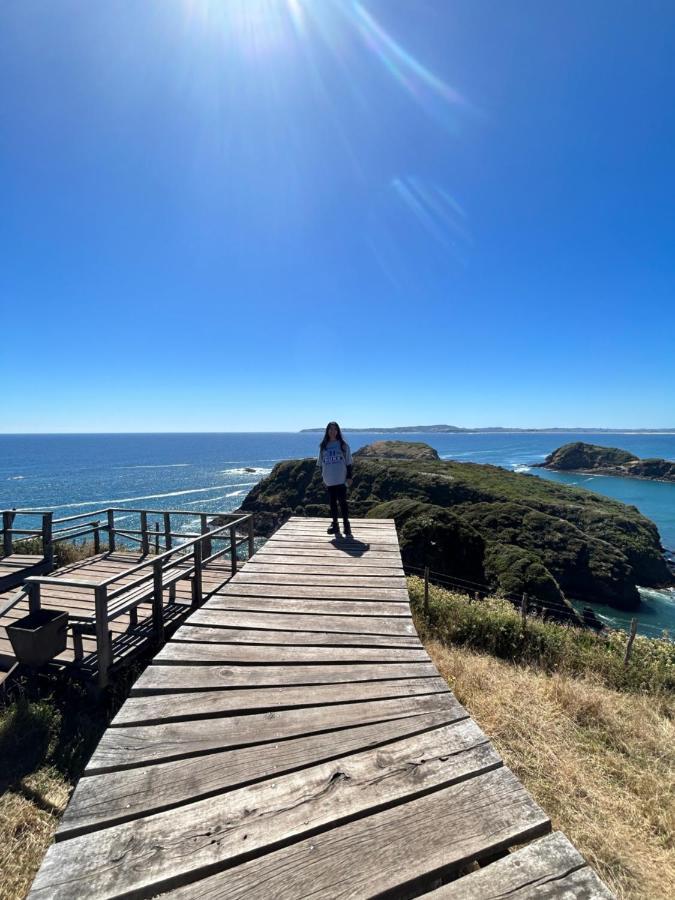 Purple Fox Hotel Ancud Exterior foto
